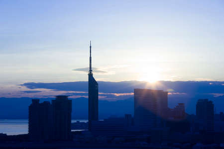 Arrayのeditorial素材