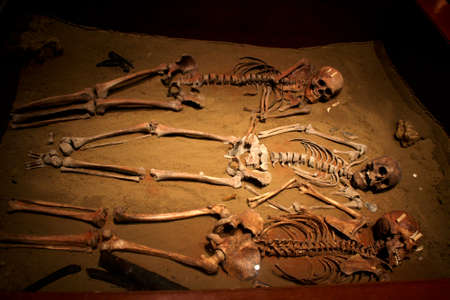 Arrayのeditorial素材