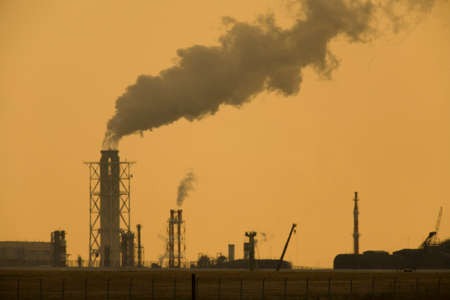 Arrayのeditorial素材