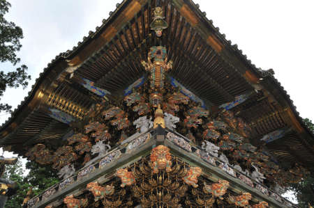 Arrayのeditorial素材