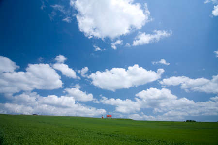 Arrayのeditorial素材