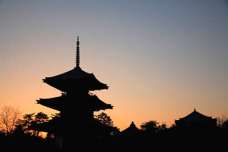 Arrayのeditorial素材