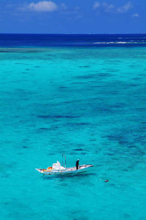 Arrayのeditorial素材