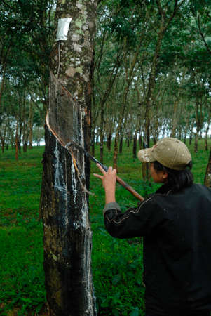 Arrayのeditorial素材