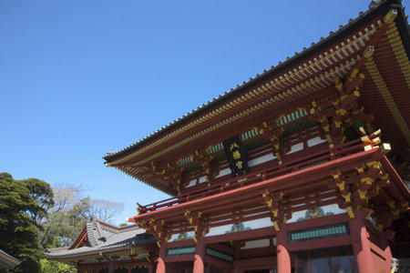 Arrayのeditorial素材