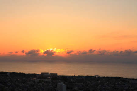 Arrayのeditorial素材