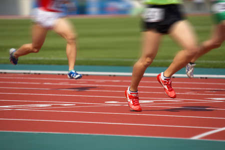 Arrayのeditorial素材