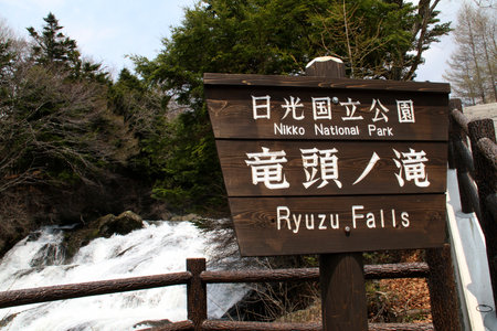 Arrayのeditorial素材