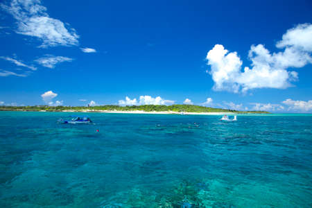 Arrayのeditorial素材