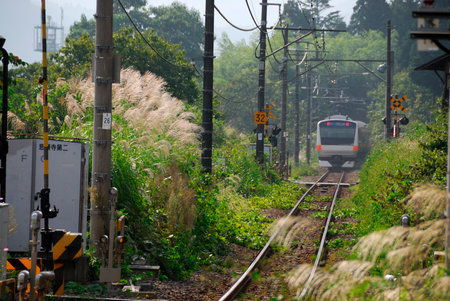 Arrayのeditorial素材