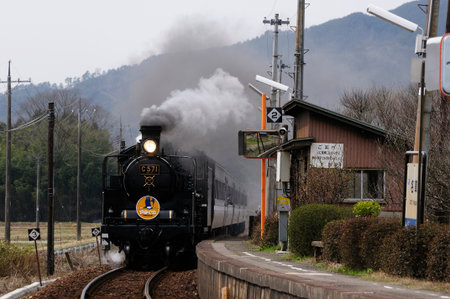 Arrayのeditorial素材