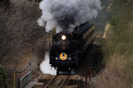 Arrayのeditorial素材