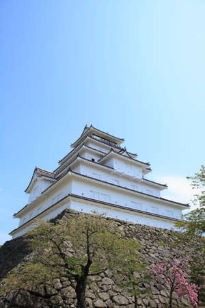 Arrayのeditorial素材