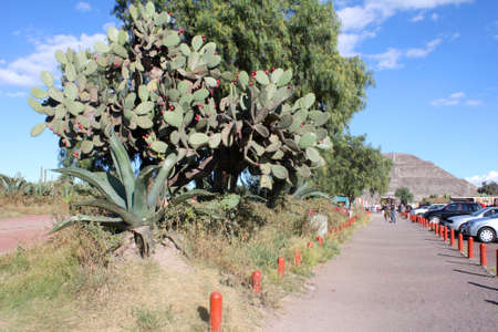 Arrayのeditorial素材