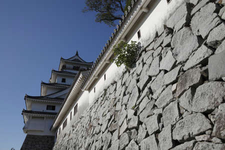 Arrayのeditorial素材