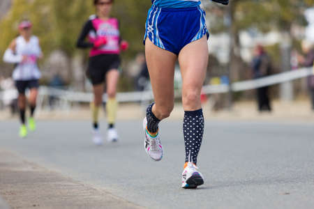 Arrayのeditorial素材