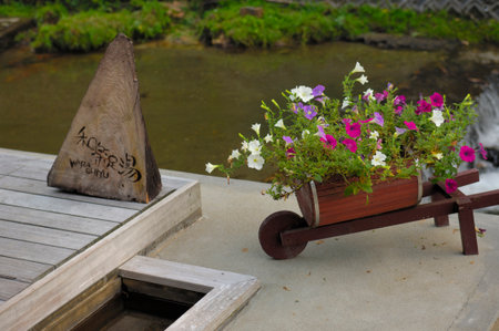 Arrayのeditorial素材