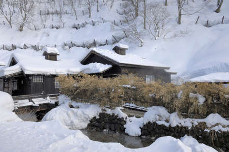 Arrayのeditorial素材