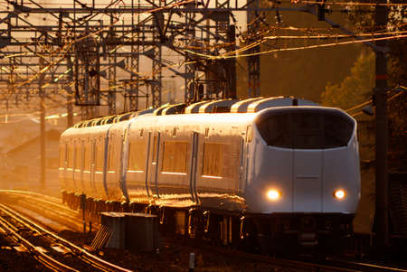 Arrayのeditorial素材