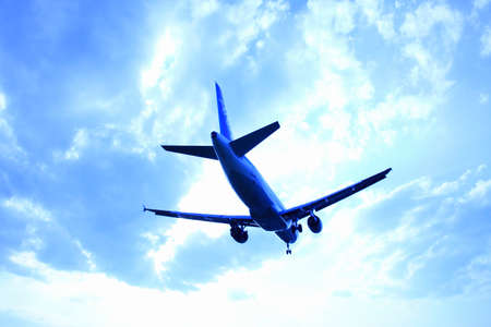 Arrayのeditorial素材