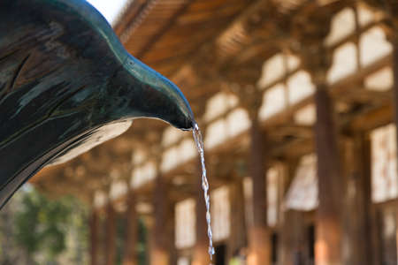 Arrayのeditorial素材