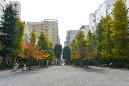 Arrayのeditorial素材