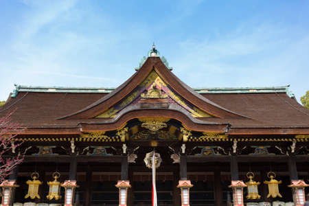 Arrayのeditorial素材