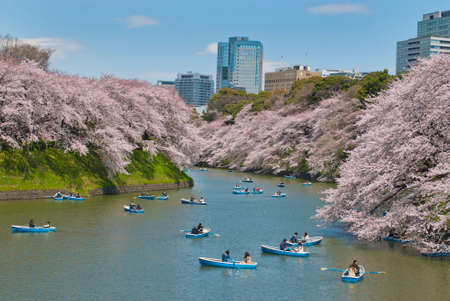 Arrayのeditorial素材