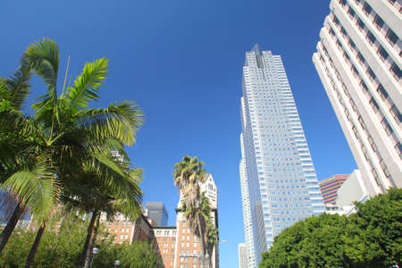 Arrayのeditorial素材