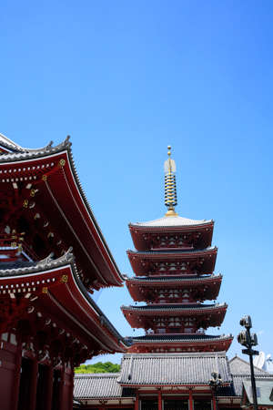 Arrayのeditorial素材