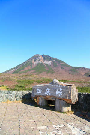 Arrayのeditorial素材