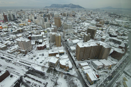 Arrayのeditorial素材