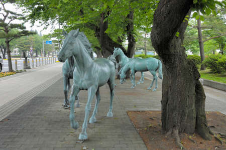 Arrayのeditorial素材