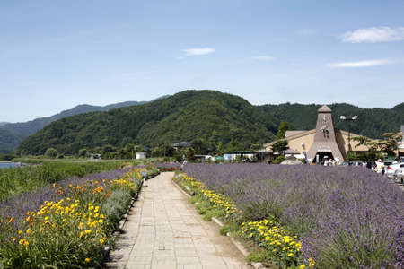 Arrayのeditorial素材