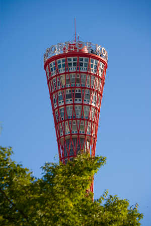 Arrayのeditorial素材