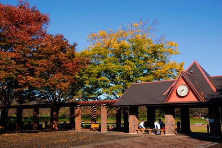 Arrayのeditorial素材