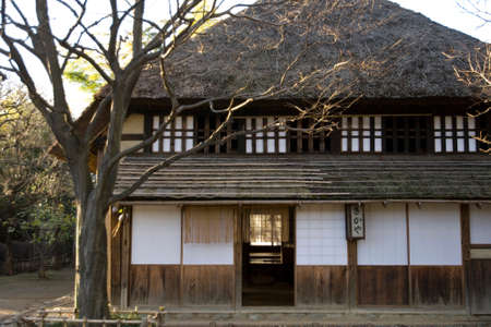 Arrayのeditorial素材