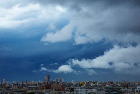 Arrayのeditorial素材