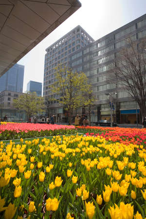 Arrayのeditorial素材