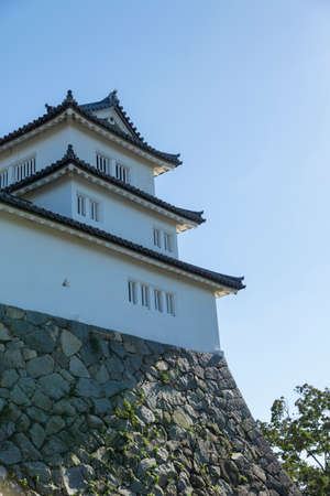 Arrayのeditorial素材