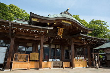 Arrayのeditorial素材