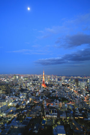 Arrayのeditorial素材