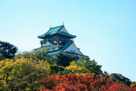 Arrayのeditorial素材