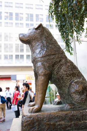 Arrayのeditorial素材