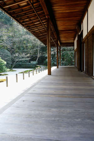 Arrayのeditorial素材