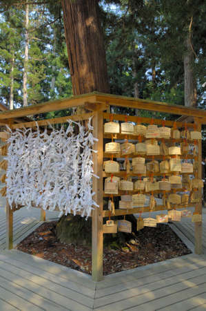 Arrayのeditorial素材