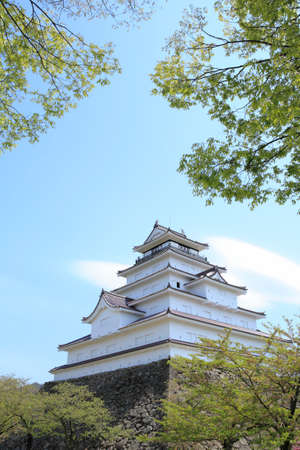 Arrayのeditorial素材