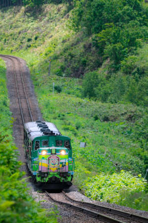 Arrayのeditorial素材