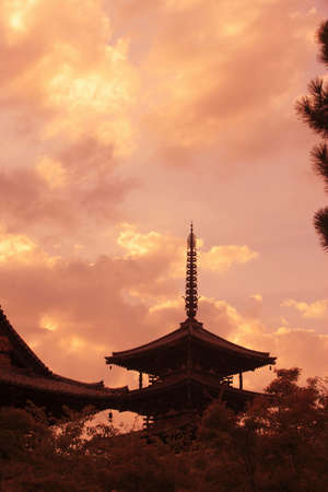 Arrayのeditorial素材