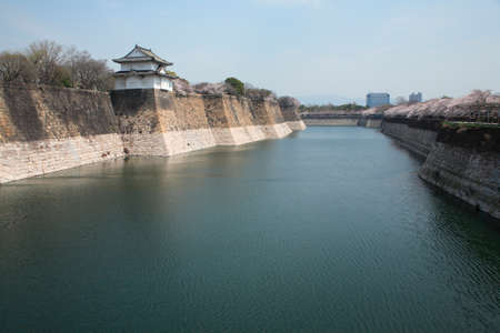 Arrayのeditorial素材